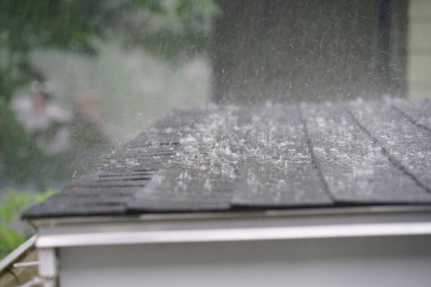 Best Asphalt Shingles Roofing  in Floresville, TX