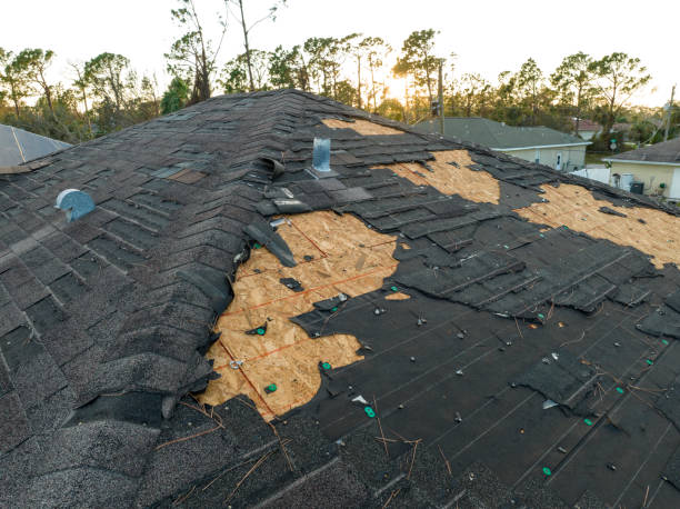 Best Roof Waterproofing  in Floresville, TX