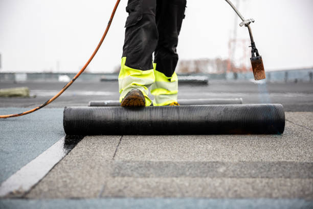 Best Solar Panel Roofing Installation  in Floresville, TX