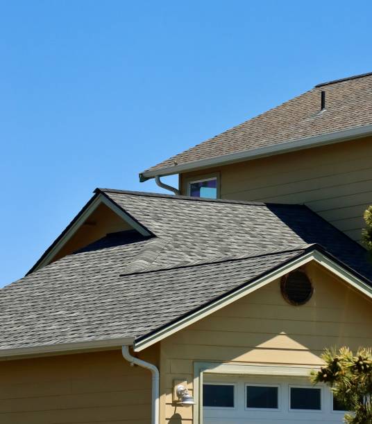 Best Skylight Installation and Repair  in Floresville, TX